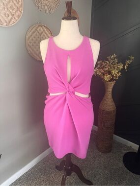 Wild Fable Pink Twist-Front Cutout Mini bodycon dress Festival Club date night